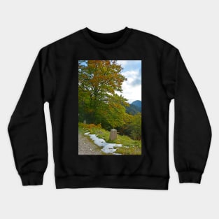 Autumn on the Slopes of Mangrt Crewneck Sweatshirt